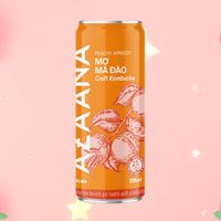 Kombucha Perzik Thee Concentraat Gemengd Vruchtensap Met Natuurlijke Zoetzure Smaak