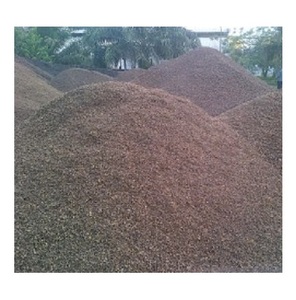 Charbon de palmiste de haute qualité pour charbon actif 100% Pureté Palm Kernel Shell(PKS)/Palm Kernel Shell - Product Image 6