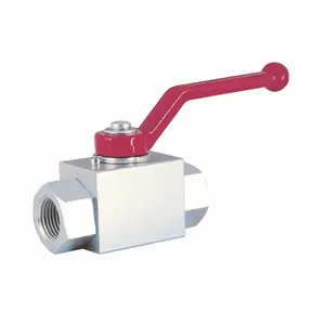 Vanne hydraulique bidirectionnelle à structure sphérique personnalisable OEM pour fluides huileux - Product Image 1