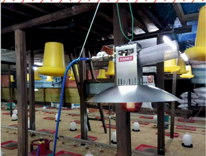 เครื่องฟักไข่ก๊าซรับประกัน Damly-1ปีสำหรับไก่/กระต่าย/วัว8กก. - Product Image 2