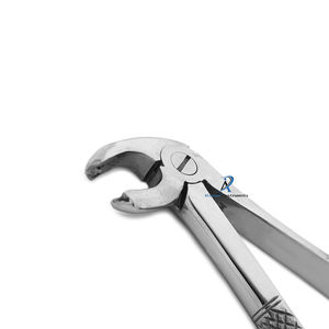 Fórceps de extracción de dientes para raíz molar inferior, instrumento de extracción oral quirúrgico Dental, diseño de agarre de precisión de acero inoxidable - Product Image 3