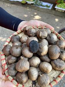 Vente en gros d'ail noir infusé naturellement à ampoule unique Easy Peel meilleur prix du Vietnam - Product Image 6