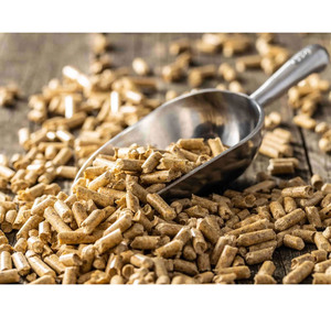 Granulés de bois de qualité supérieure à vendre en vrac Meilleurs prix - Product Image 2