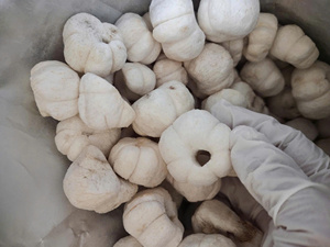 Mangoustan lyophilisé en gros, collation de fruits croustillants et sucrés pour la vente au détail, sacs de marque privée 50g 100g, mangoustan sec du Vietnam - Product Image 5