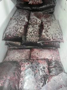 Moras Congeladas DISPONIBLES para Uso en Panadería, Relleno, Procesamiento de Salsas y Producción de Alimentos, para Venta al por Mayor, Pedidos Personalizados, Vietnam - Product Image 4