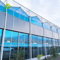 Moderne slimme multi-span Venlo-type glazen kas met hoge lichttransmissie, automatische bediening en aanpasbare afmetingen
