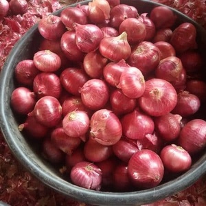 Oignons Rouges Frais Biologiques de Qualité Supérieure en Gros Autriche 10kg Marque ONIONS Prix Abordable - Product Image 1