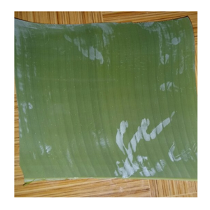 High Quality <b>Frozen</b> Banana Leaf Sheets Clean Processed <b>Frozen</b> Banana Leaf For Culinary <b>Decoration</b> - Product Image 4