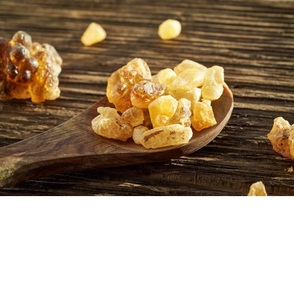 Aceite esencial de incienso natural 100% puro, extracto de planta cultivada salvaje en embalaje de tambor de botella, precio al por mayor de La India - Product Image 5