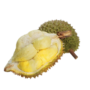 Fruta orgánica fresca de Durian a la venta, carne cremosa con sabor dulce y delicioso, precio de exportación competitivo - Product Image 4