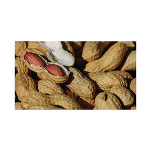 Hot Selling Price of Dried Organic Red Skin <b>Peanuts</b> in Bulk Quantity Blanched Bold <b>Peanuts</b> With Quality - Product Image 1