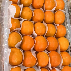 Naranja Naval Fresca de Nueva Cosecha, Naranja Dulce, Mandarina Fresca - Product Image 1