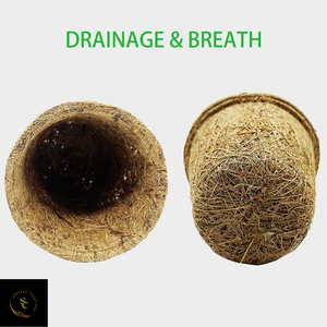 Pots de pépinière en coco biodégradables organiques de haute qualité Pots de démarrage de graines pour la germination et les semis d'herbes utilisés avec des plantes - Product Image 6