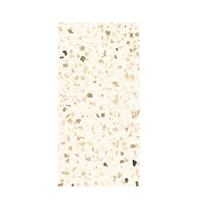 Gạch terrazzo sang trọng rộng rãi Kích thước 60x120 cm sứ bền giao thông cao worldwave terrazzo Luxe xác định sang trọng - Product Image 4
