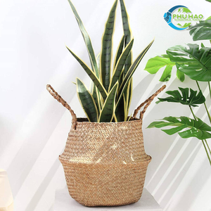 Elegantes cestas de vientre de hierba marina con asas, cesta de paja multiusos y ecológica para decoración moderna del hogar - Product Image 4