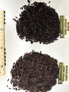 Arroz Basmati Negro de Grano Largo Seco, Nutritivo y Saludable, Ingredientes para Cocinar, Cultivo Nuevo, Directo de los Mayoristas del Sur del Mekong - Product Image 3