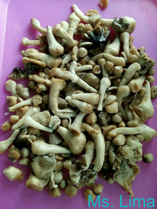 Champiñones en Salmuera para Exportación - Alta Calidad, Naturales, Limpios y Listos para Procesar, OEM Disponible/ Sra. Lima - Product Image 4