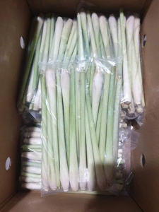 100% Citronnelle naturelle fraîche congelée du Vietnam Culture crue d'OGM Légumes surgelés certifiés halal certifiés IQF - Product Image 6