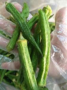 PREMIUM DRIED <b>OKRA</b> VEGETABLE FROM VIETNAM for SNACK - Product Image 4