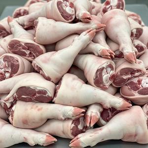 Oferta especial en patas de cerdo congeladas, suministro de carne congelada a granel Premium con envío rápido y calidad de exportación constante - Product Image 4