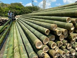 เสาไม้ไผ่โรงงานเวียดนามคุณภาพสูงพร้อมขนาดที่กําหนดเองเพื่อการเกษตร / ท่อเสาไม้ไผ่ธรรมชาติจํานวนมาก - Product Image 6