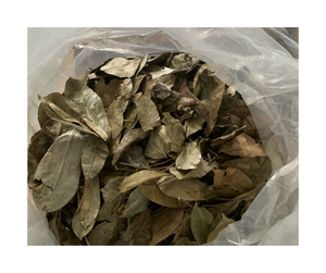 Premium Dried Soursop Leaf Export Quality Dried Vietnam Soursop Leaf Bulk Supply From Reliable Dried Soursop Leaf Supplier - Product Image 4