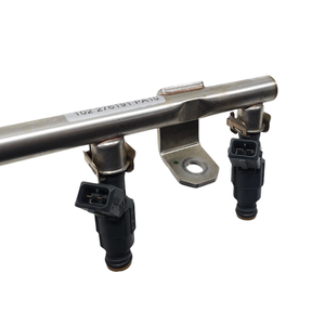 INYECTORES DE COMBUSTIBLE DR Serie 5.0 E4T15C-1121010 SQRE4T15C Bifuel/Gas 1500 (19>) - Product Image 6
