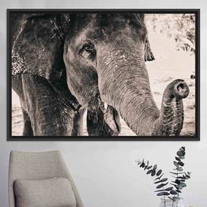 Art mural élégant en verre trempé avec motif d'éléphant - Décoration sur toile imprimée, TOILE ENCARTÉCHÉE NOIRE - Product Image 1