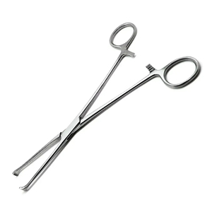 New Arrival Homeostatic Manual Lightweight Stainless Steel <b>Dental</b> Tissue Forceps High Quality Surgical Instruments Best - Product Image 5