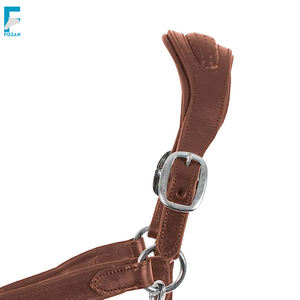 สายจูงม้าแบบปรับได้ รุ่น Fizzan International TM-FI-HRH-HA11-035 ปี 2025 ทำจากหนังนุ่มและไนลอน พร้อมอานม้าแบบตะวันตกที่ปรับแต่งได้ - Product Image 5