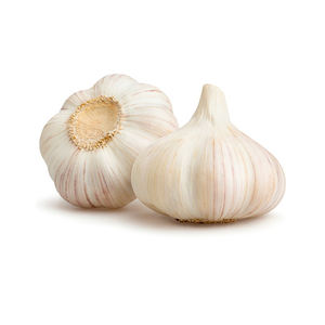 Precio barato, ajo fresco, suministro a granel, venta al por mayor, grado superior, granja fresca - Product Image 2