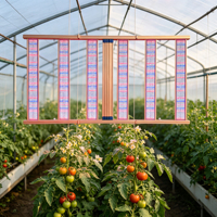 Lampe de culture LED professionnelle à double canal avec barres lumineuses séparables et détachables pour serre hydroponique de légumes