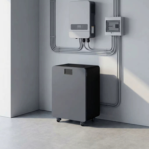 Household Energy Storage Grade 51.2V 314Ah 15kWh LiFePO4 <b>Wall</b> Battery Pack CAN RS485 CE 10Year Warranty ReadyToShip - Product Image 1