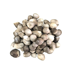 Precio al por Mayor de Fábrica de Hongos de Paja de Arroz Congelados en Vietnam para Restaurantes Asiáticos - Product Image 5