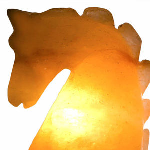 Lampe au sel de l'Himalaya OEM en forme d'animal organique sculpté ampoule à cordon électrique pour la décoration de la maison avantages pour la santé - Product Image 6