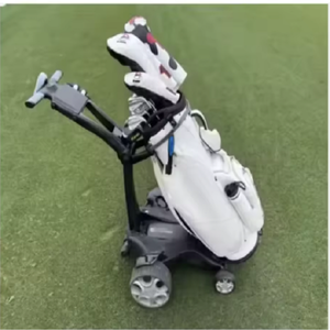 Carrito de Golf Eléctrico Nuevo con Construcción de Aluminio Resistente y Batería de Litio - Product Image 1
