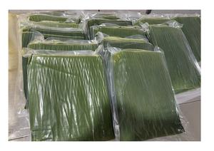 <b>Banana</b> Leaves Great Quality <b>Fresh</b> <b>Banana</b> Leaf 100% Natural High Quality Ecofriendly with Export Standard - Product Image 4