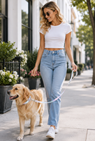 Ensemble collier et laisse pour chien, réglable, iridescent, laisse de promenade pour animaux de compagnie avec boucle en métal pour chiens de petite et moyenne taille