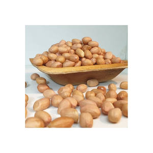 Nuevo cultivo con certificado Halal, cacahuetes blanqueados, cacahuetes pelados - Product Image 2