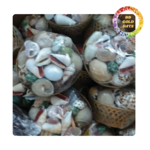 Real Ocean Shell Mix para manualidades hechas a mano, arte de resina y decoración del hogar - Product Image 1