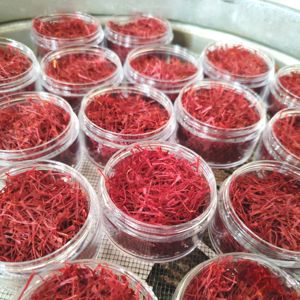 Azafrán de Cachemira de Primera Calidad A++, Natural, Seleccionado a Mano, Rico Aroma y Hilos Largos, Disponible en Empaque Personalizado - Product Image 5