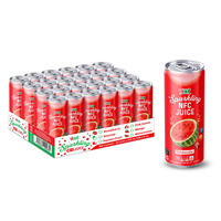 VINUT 330ml Hot Selling Sprankelende Watermeloen Drank Groothandel OEM ODM Export Drankleverancier