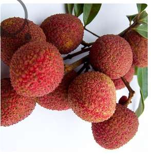 LYCHEE CONGELÉ DE HAUTE QUALITÉ: PULPE DE FRUITS DE LITCHI BIOLOGIQUE IQF, PEELÉ ET CONGELÉ EN VRAC, ENTIER ET TRANCHÉ, PRIX BON MARCHÉ. - Product Image 2