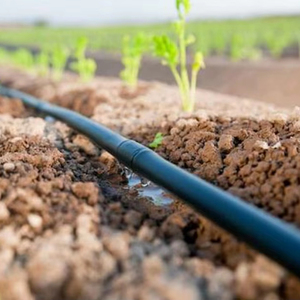 Système d'irrigation goutte à goutte agricole le plus vendu Ruban d'irrigation goutte à goutte 16mm d'économie d'eau avec émetteur plat à l'intérieur - Product Image 3