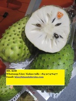 Diepvries verse zuurzakpulp (Graviola) uit Vietnam, smaakvol en zuur, KMI merk, voor voedselverwerking