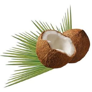 Crème de noix de coco en poudre de qualité supérieure sans Caseinate de Sodium provenant de thaïlande, emballage 25Kg par sac - Product Image 1