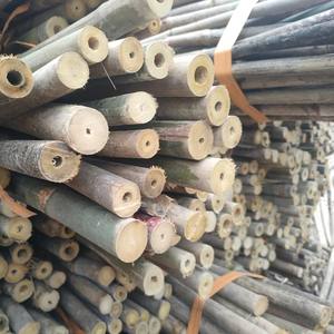 Bâtons de support de plantes en bambou de haute qualité pour une utilisation agricole fabriqués à partir de matières premières en bambou - Product Image 2