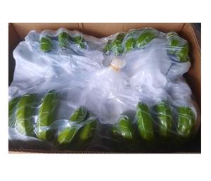 Plátano Cavendish Fresco de un Cultivador de Confianza con Calidad Estable, Forma Uniforme y Superficie Limpia - Product Image 3