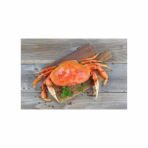 Farine de crabe adaptée à l'agriculture biologique disponible en quantités en gros - Product Image 1