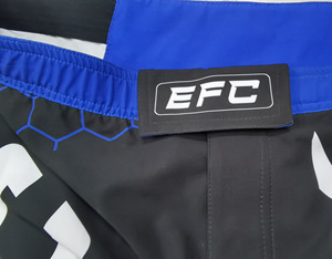 Ensemble Rashguard et Short de Combat à Manches Courtes Imprimé par Sublimation Personnalisé pour le Jiu Jitsu, le Grappling et les Sports de Combat OEM/ODM - Product Image 6